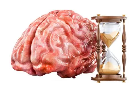 Human brain with Hourglass, 3D rendering Human brain with Hourglass, 3D re... Stock Photos