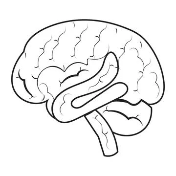 Human brain icon with editable stroke Stock Illustration