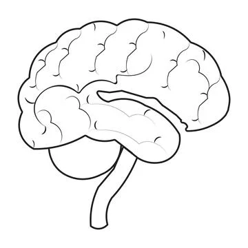 Human brain icon with editable stroke Stock Illustration