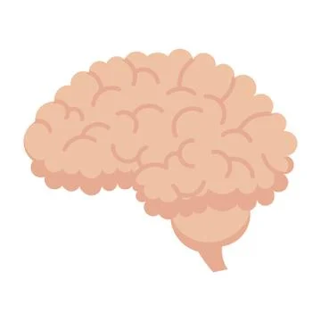 Human Brain Icon Stock Illustration