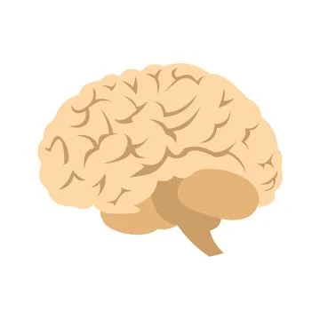 Human brain icon Ilustración de archivo