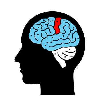 Human brain icon showcase technology and Artificial intelligence Stock Illustration