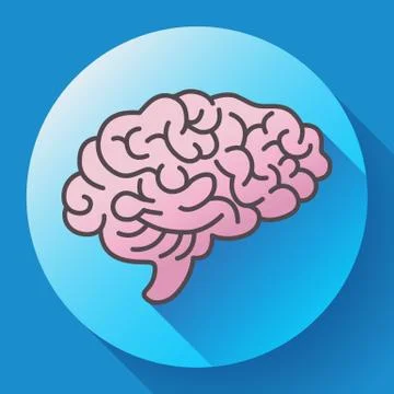 Human brain icon, symbol of intellect, study, learning and education. Stock Illustration