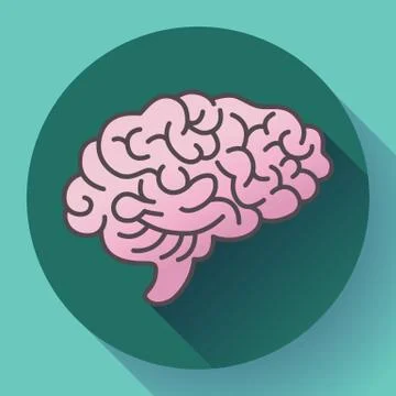 Human brain icon, symbol of intellect, study, learning and education. Stock Illustration