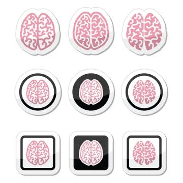 Human brain icons set - intelligence, creativity concept Stock Illustration