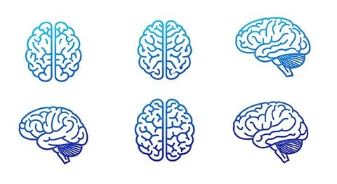 Human brain icons in various views representing intelligence thought Stock Illustration