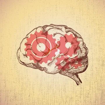 Human brain Stock Illustration