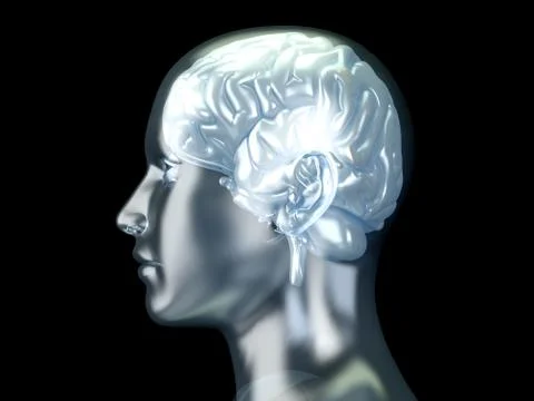 Human brain. Stock Illustration