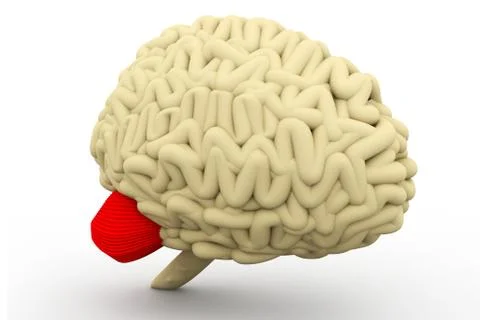Human brain. Stock Illustration