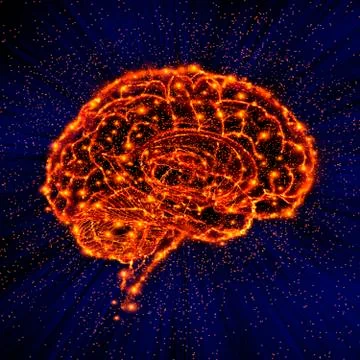 Human brain Stock Illustration