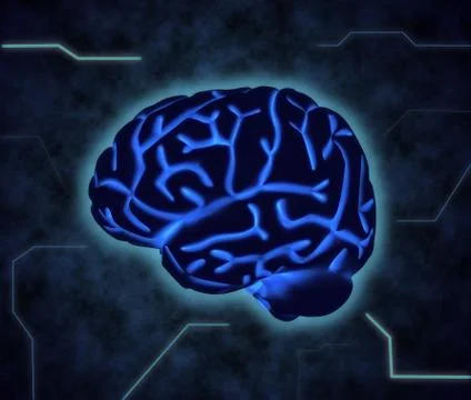 The human brain Stockillustratie