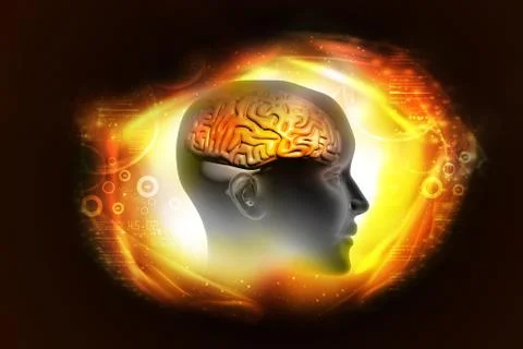 Human brain Stock Illustration