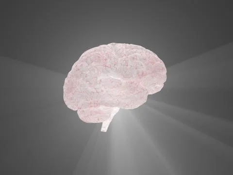 Human brain Stock Illustration