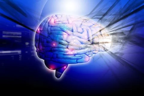 Human brain Illustrazione stock