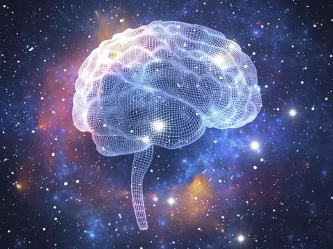 Human brain, illustration Stock Illustration