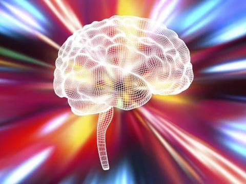 Human brain, illustration Stock Illustration