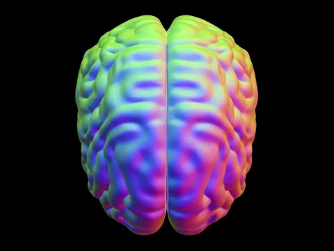 Human brain, illustration 스톡 일러스트