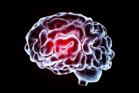 Human brain, illustration Stock Illustration