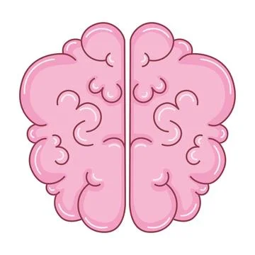 Human brain illustration Ilustración de archivo