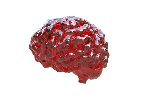 Human brain, illustration Stock Photos