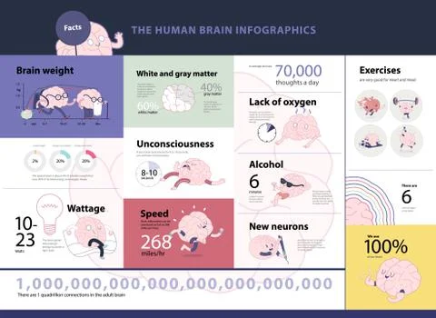 Human brain infographics イラスト素材