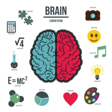 Human brain infographics set, flat style 스톡 일러스트