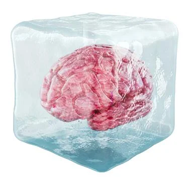 Human brain inside ice cube. 3D rendering Stock Illustration