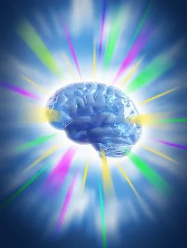 Human Brain Intelligence Creativity Genius Stock Illustration