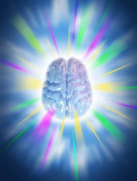 Human Brain Intelligence Creativity Genius Stock Illustration