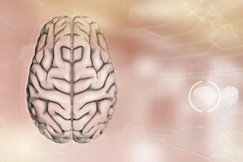 Human brain, intelligence discovery concept - detailed texture Stock-Illustration