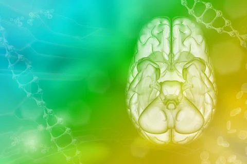 Human brain, intelligence work concept -  electronic background Stock Illustration