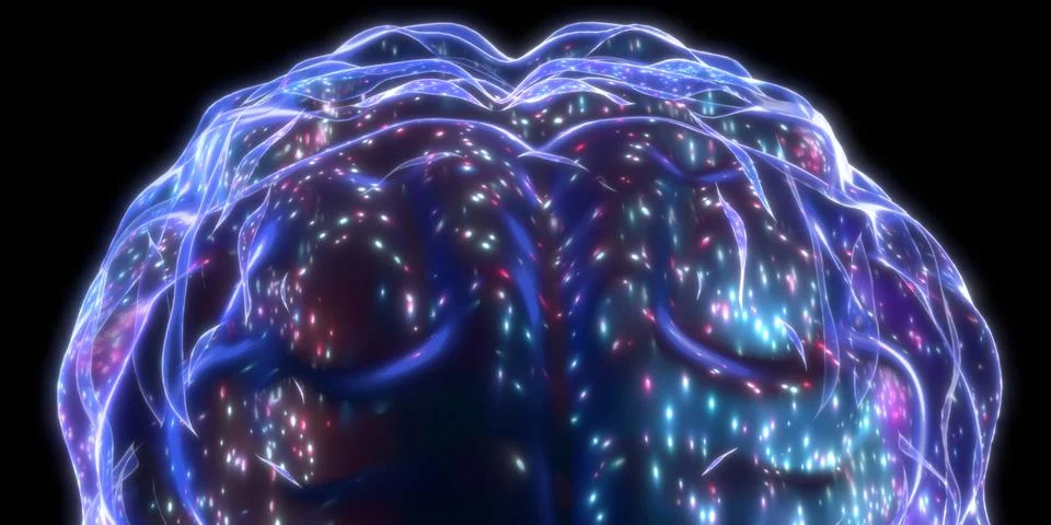 Human brain isolated on black background - 3D illustration イラスト素材