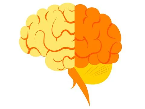 Human brain. Isolated vector. Concept of the human brain. Stock Illustration