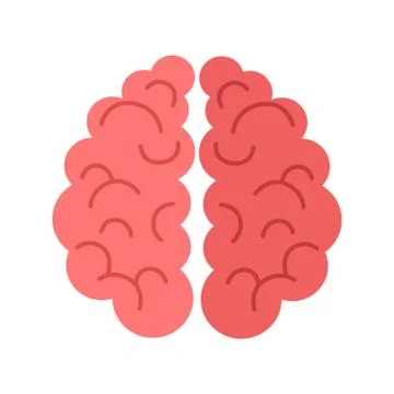 Human Brain Isolated on White Background Ilustración de archivo
