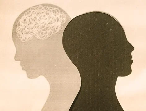 Human Brain Isolated Within Human Head and its shadow. Paper Illustration. Fe Stock Photos