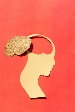 Human Brain Isolated Within Human Head. Paper Illustration. Feelings of isola Stock Photos