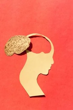  Human Brain Isolated Within Human Head. Paper Illustration. Feelings of i... Stockfoto's
