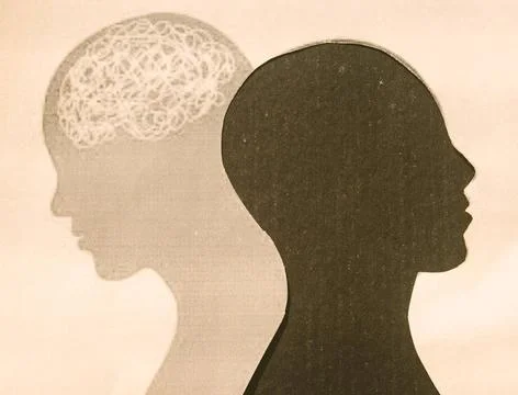  Human Brain Isolated Within Human Head and its shadow. Paper Illustration... Stock Photos