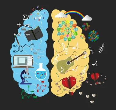 Human brain left and right functions, Creative half and logic half of human mind Stock Illustration