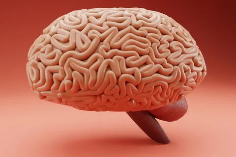 Human brain on light. 3D render. Illustrazione stock