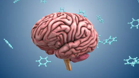Human Brain Linked with Moving Molecular Particles Stock Footage 323362678