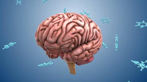 Human Brain Linked with Moving Molecular Particles Stock Illustration