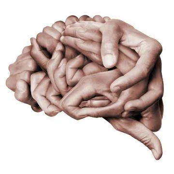 Human brain made ​​with hands Stock Photos