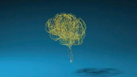 Human brain made out of lines. Brain medical Concept. 3D Rendering. Stock Photos