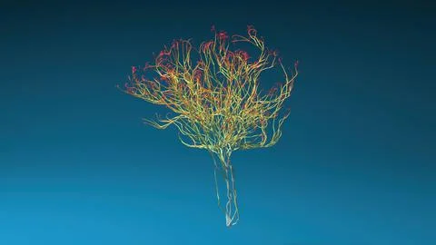 Human brain made out of lines. Brain medical Concept. 3D Rendering. Stock Photos