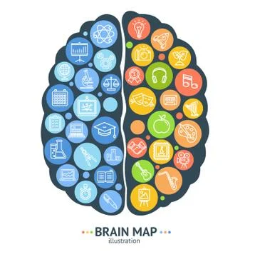 Human Brain Map Concept Left and Right Hemisphere. Vector Stock Illustration