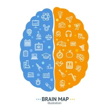 Human Brain Map Concept Left and Right Hemisphere. Vector Stock Illustration