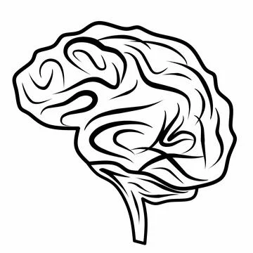 Human brain medical vector Stock Illustration