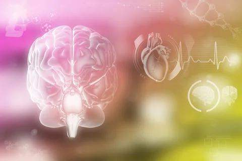 Human brain, memory analyzing concept - very detailed hi Stock Illustration