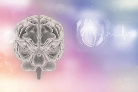 Human brain, memory research concept - detailed modern background Illustrazione stock